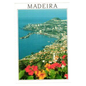 Madeira Postcard Western Funchal Coastal Cityscape Vibrant Flowers Photograph